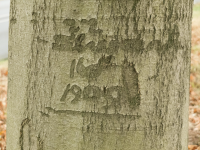 Bekijk detail van "Boominscripties in het Planken Wambuis"